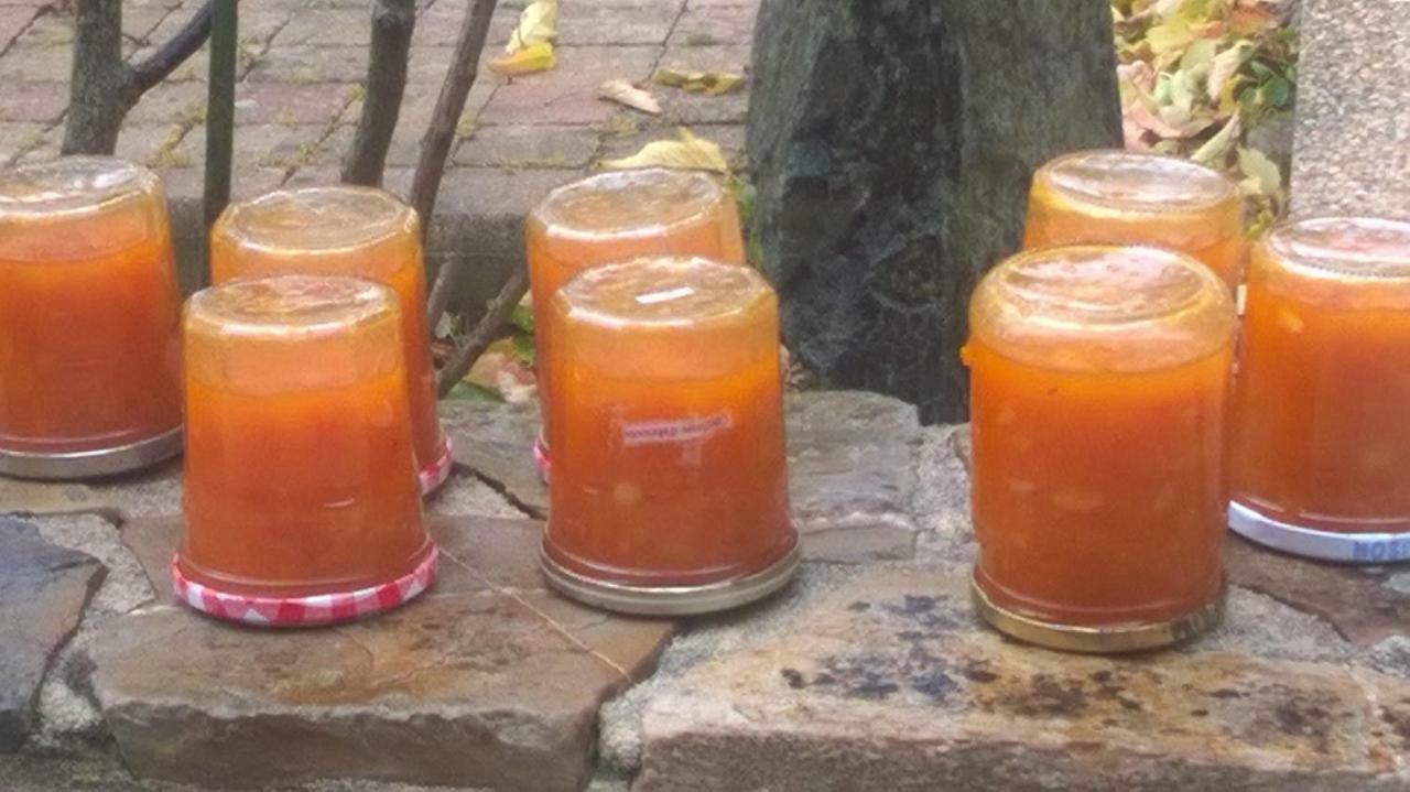 La P'Tit' Fugue Hotel La Bouexiere Kültér fotó